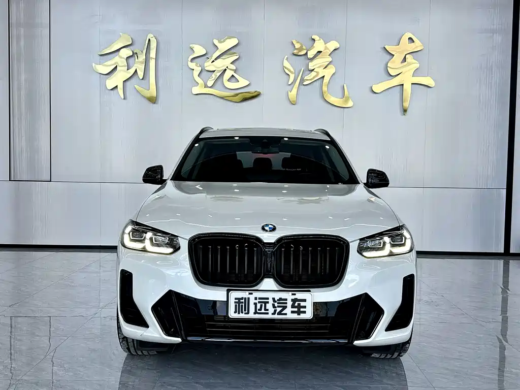 BMW X3 — миниатюра 2