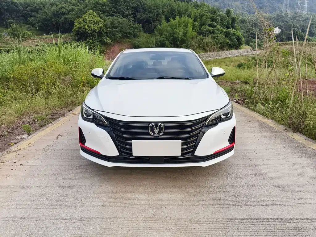 Changan Ruicheng CC — миниатюра 2