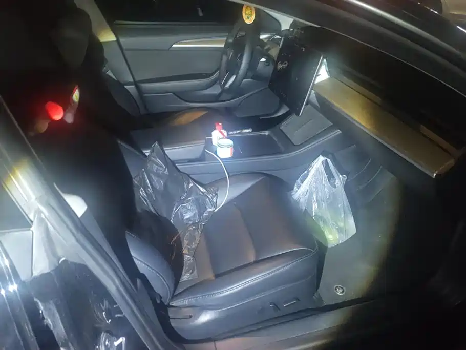 Tesla Model 3 — миниатюра 8