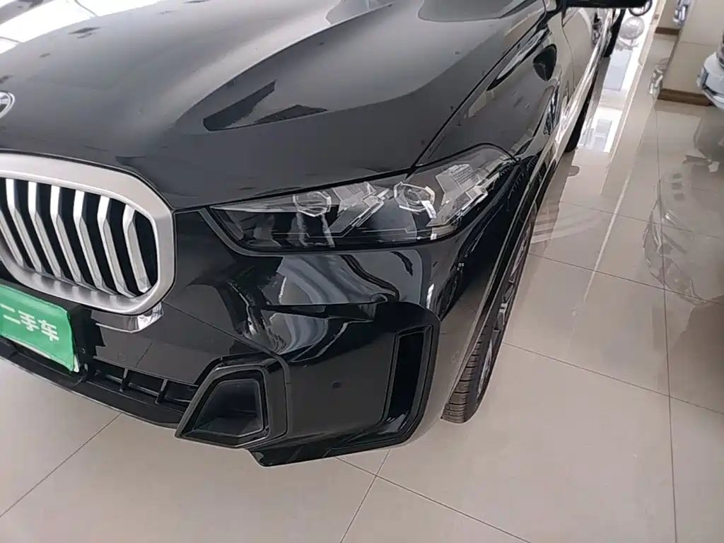 BMW X5 — миниатюра 24