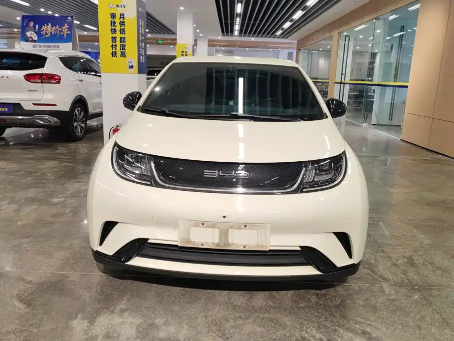 BYD Dolphin — миниатюра 2