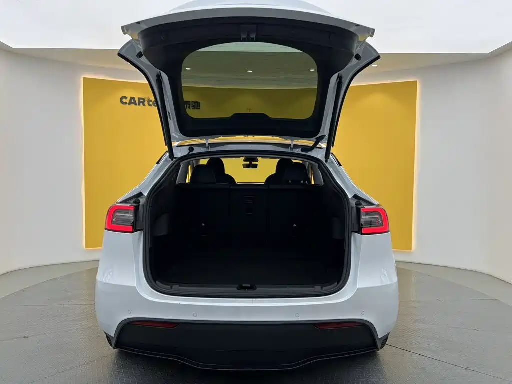 Tesla Model Y — миниатюра 12