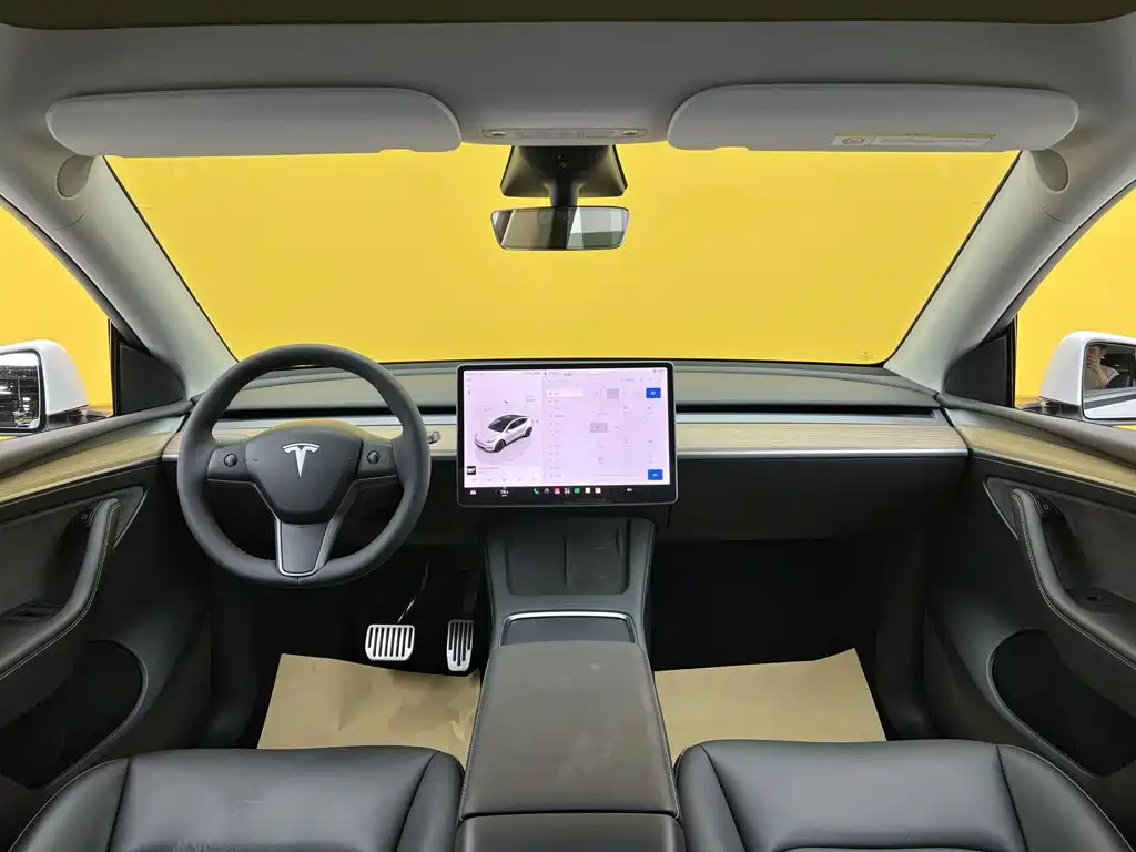 Tesla Model Y — миниатюра 39