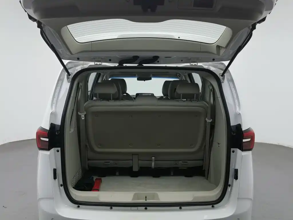 Buick GL8 — миниатюра 16