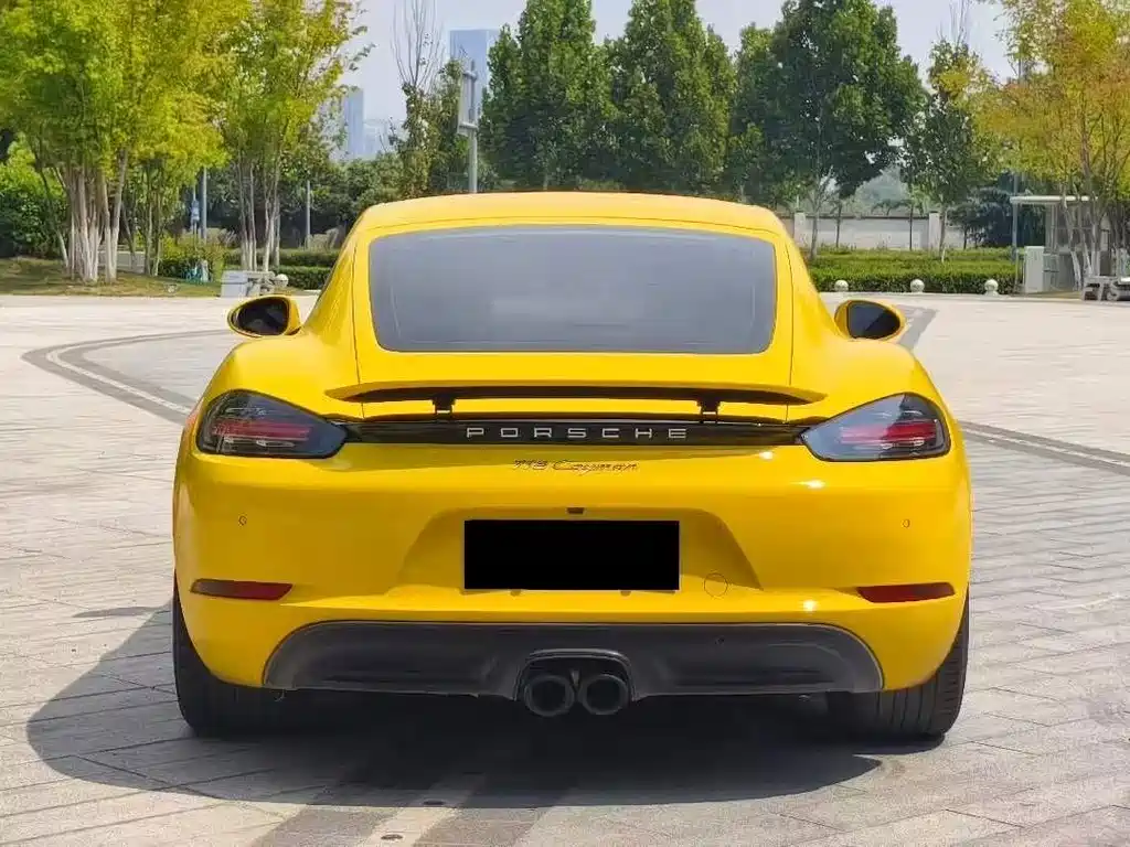 Porsche 718 — миниатюра 8
