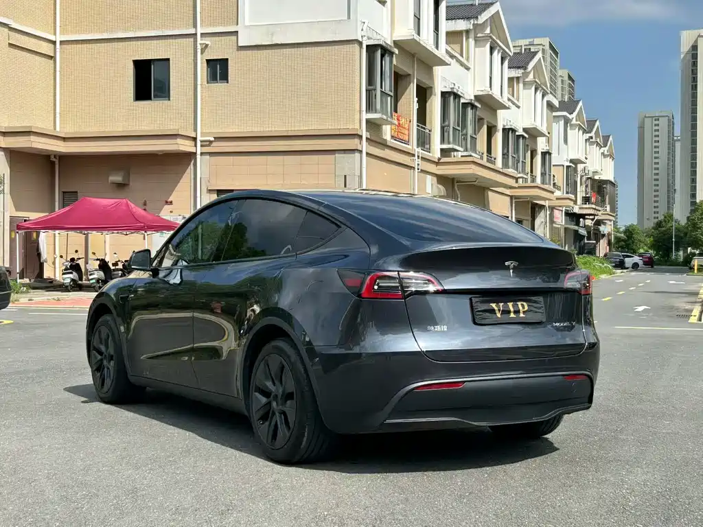 Tesla Model Y — миниатюра 4