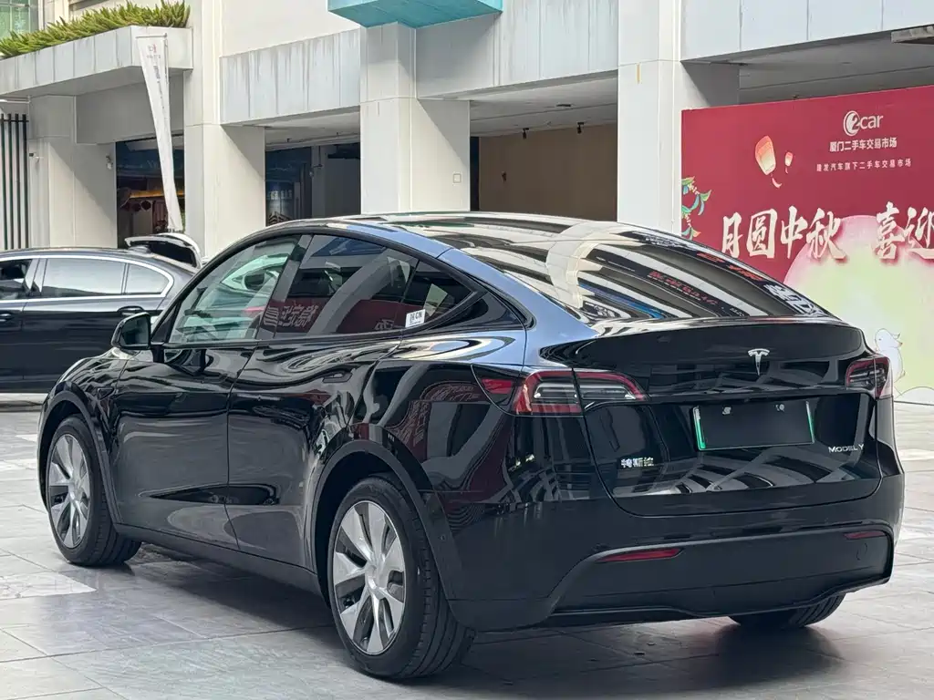 Tesla Model Y — миниатюра 14
