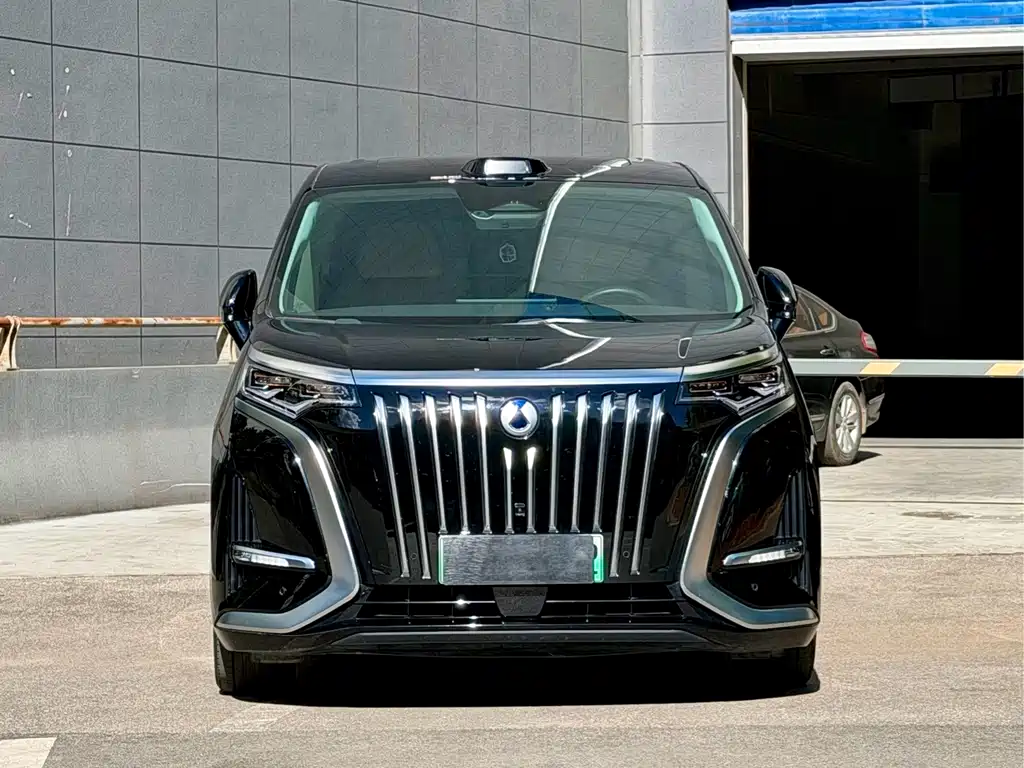 Denza Denza D9 — миниатюра 2