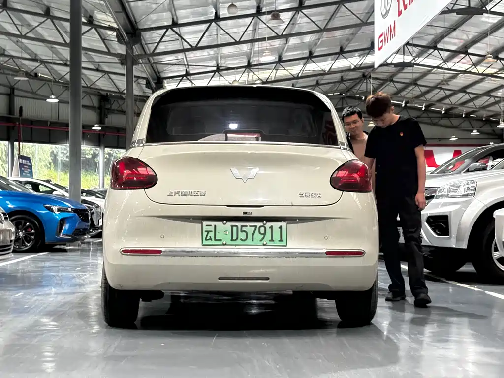 Wuling Binguo 2023 333km