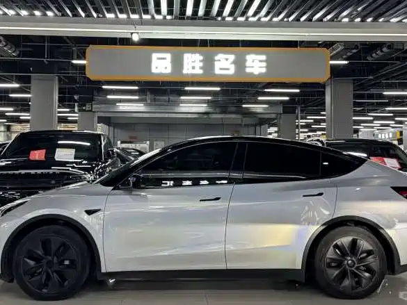 Tesla Model Y — миниатюра 4