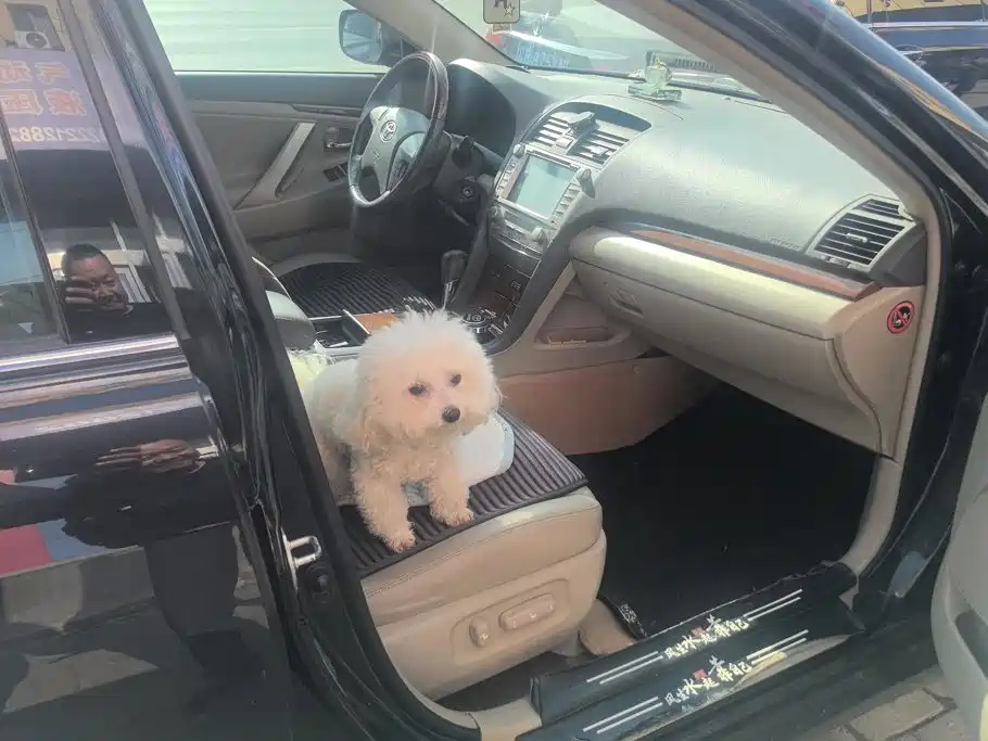 Toyota Camry — миниатюра 8