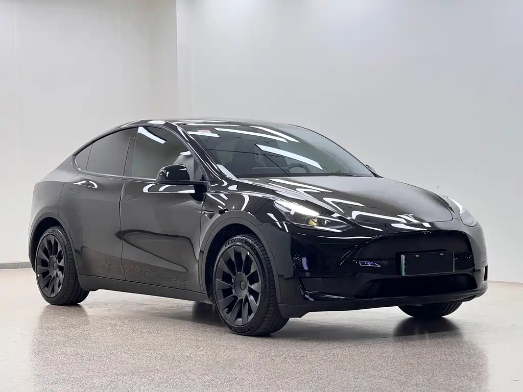 Tesla Model Y — миниатюра 3