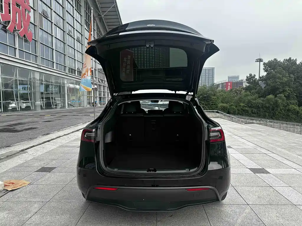Tesla Model Y — миниатюра 10