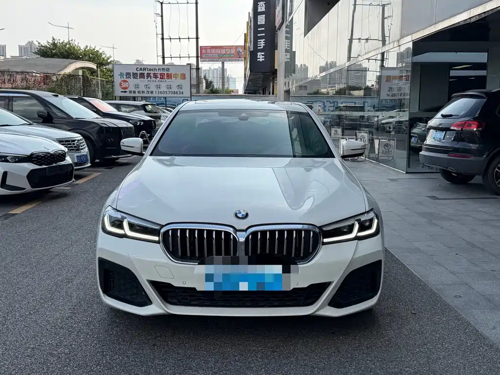 BMW 5 Series (Import) — миниатюра 2