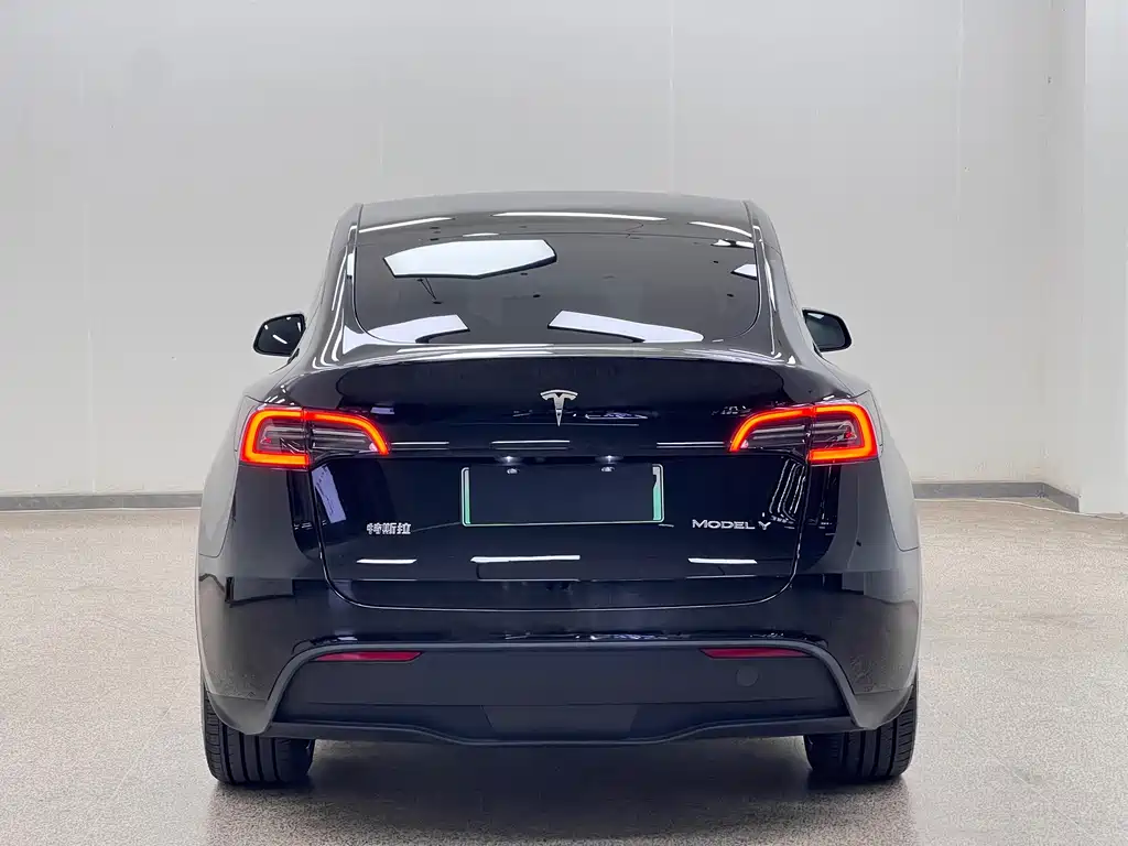 Tesla Model Y — миниатюра 5