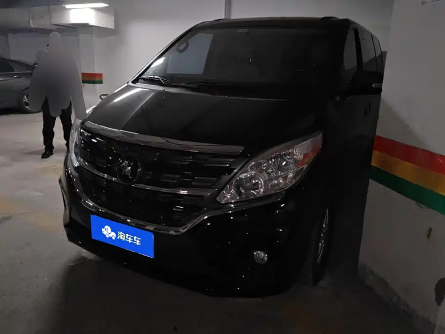 Fengxing Lingzhi PLUS