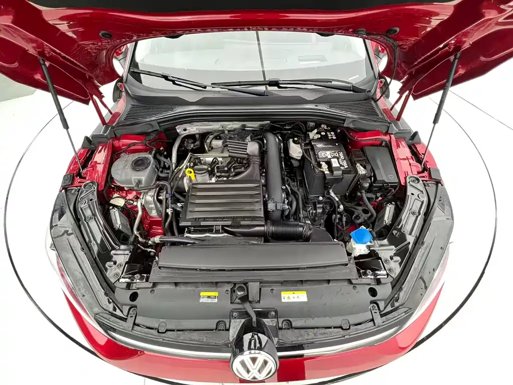 VOLKSWAGEN LINGDU