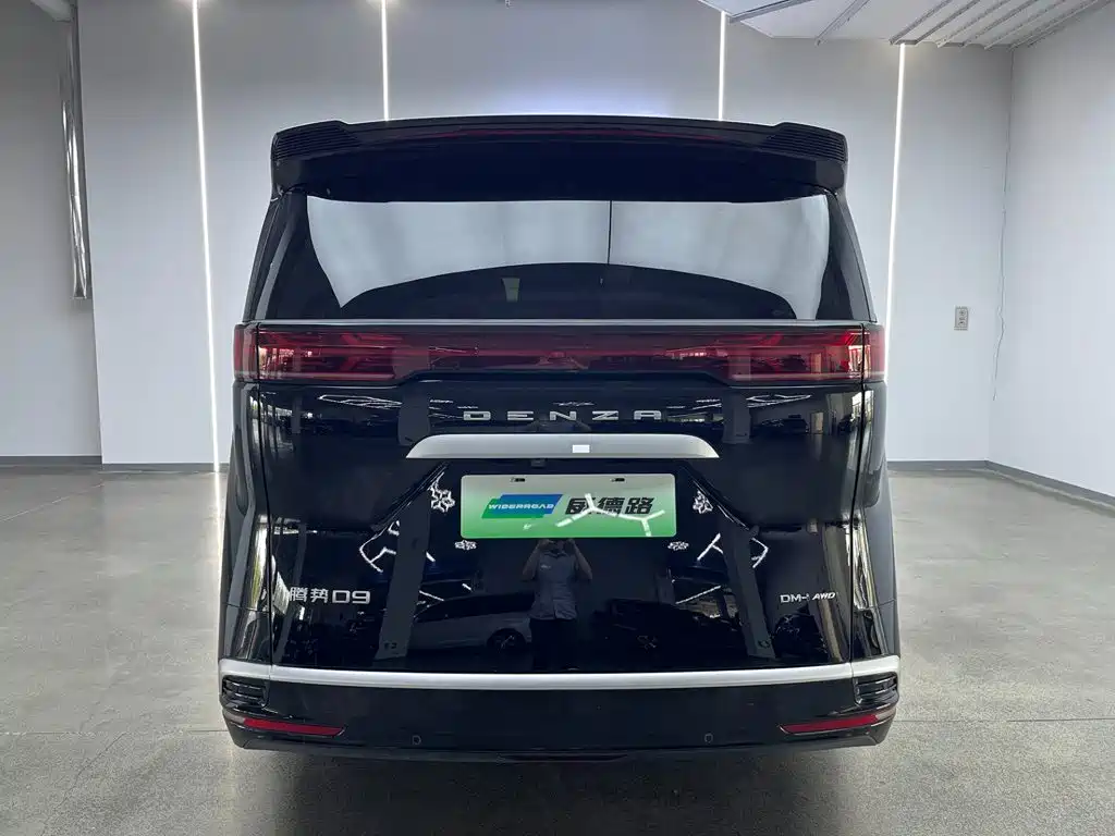 Denza Denza D9 — миниатюра 4