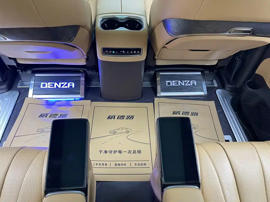 Denza Denza D9 — миниатюра 19