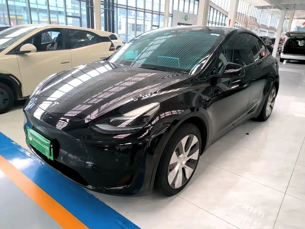Tesla Model Y — миниатюра 2