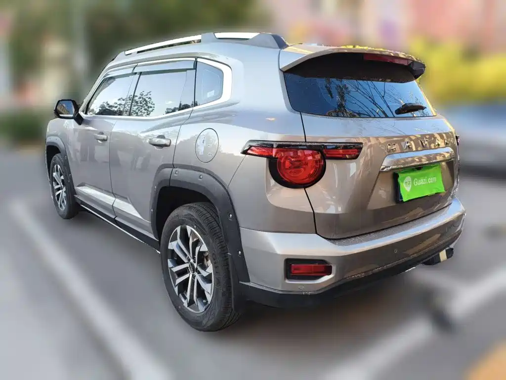 Haval Big Dog PLUS — миниатюра 25