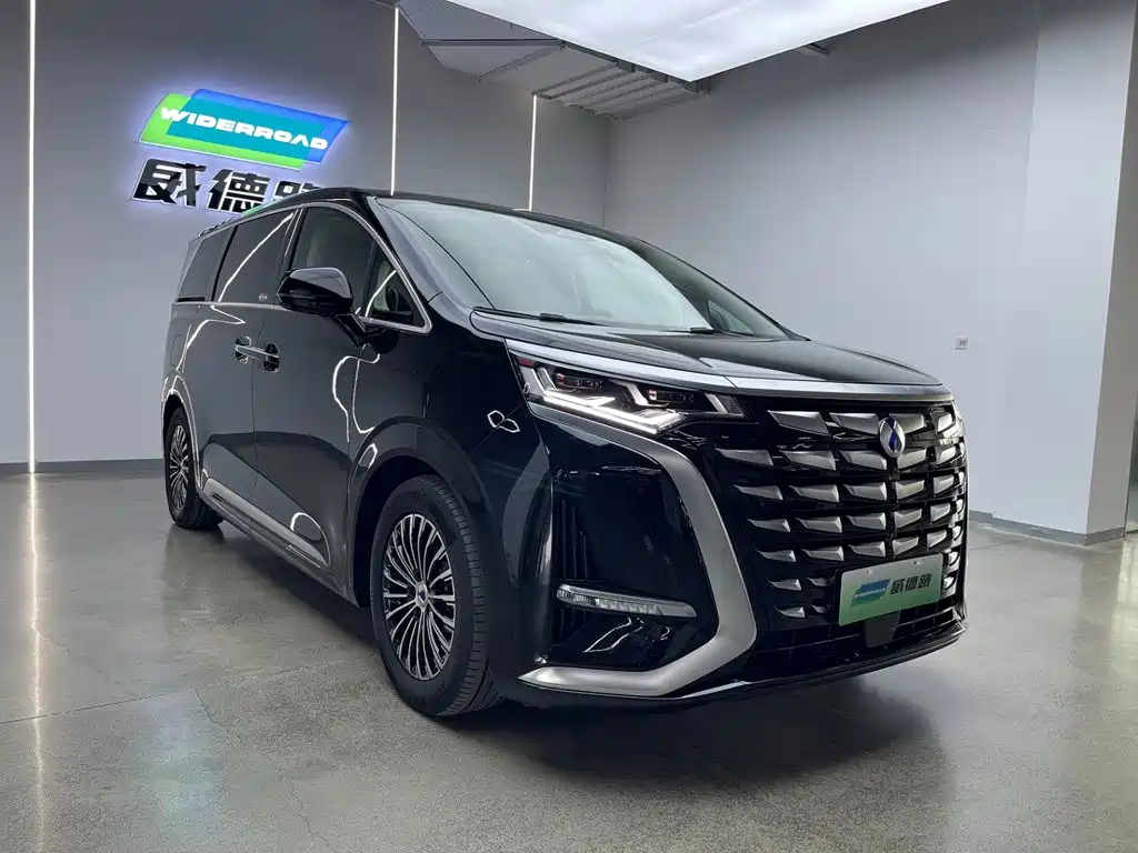 Denza Denza D9 — миниатюра 32