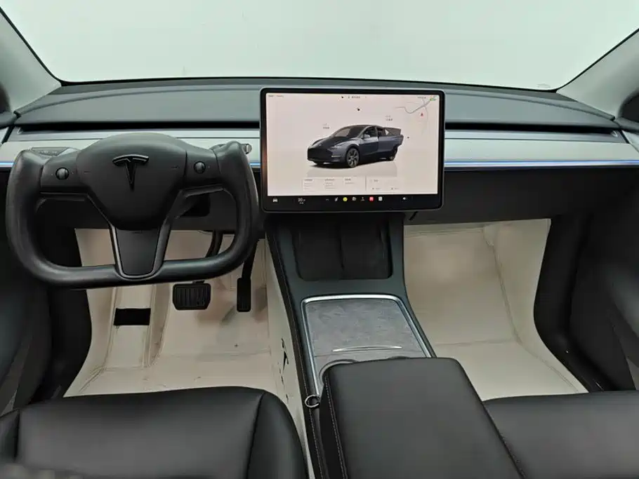 Tesla Model Y — миниатюра 12