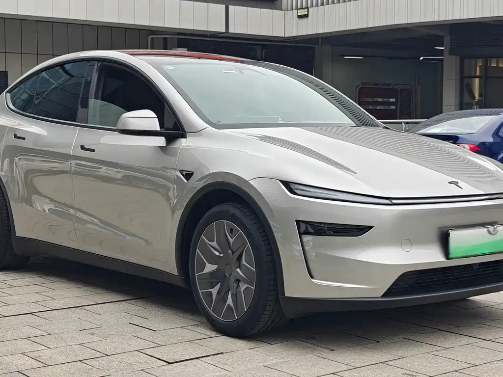 Tesla Model Y — миниатюра 3