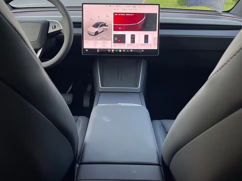 Tesla Model Y — миниатюра 7