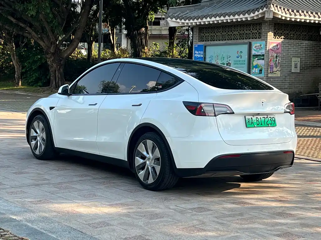 Tesla Model Y — миниатюра 7