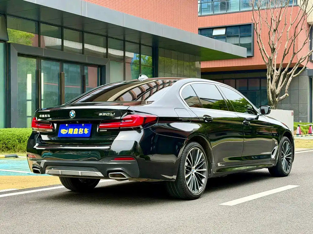 BMW 5 Series — миниатюра 5