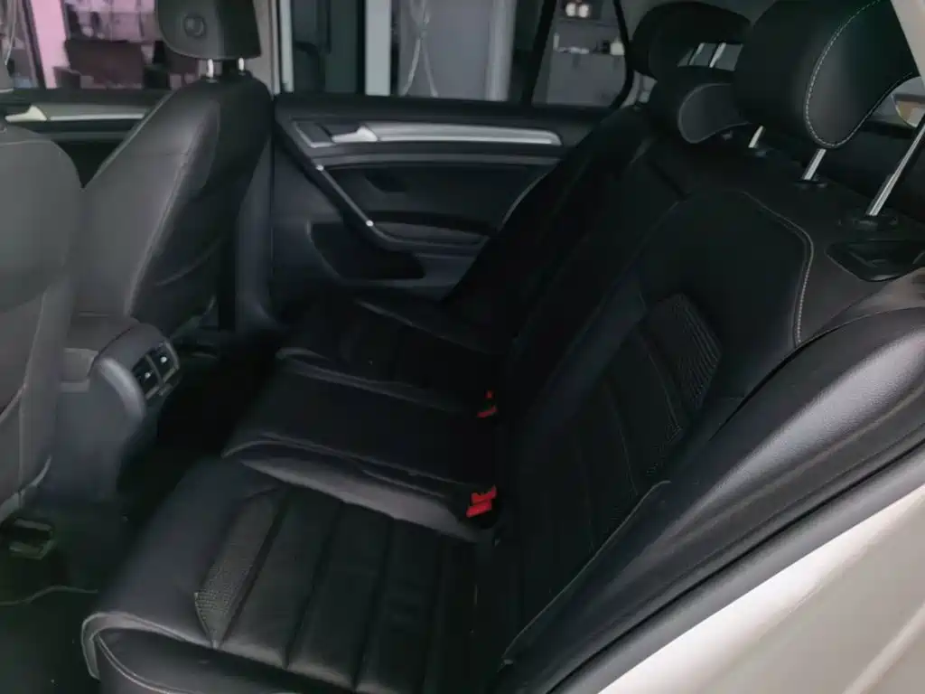 Volkswagen Golf New Energy (Import) — миниатюра 17