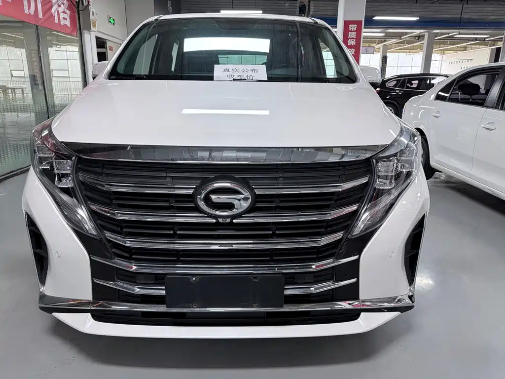 GAC Motor Trumpchi M8 — миниатюра 2