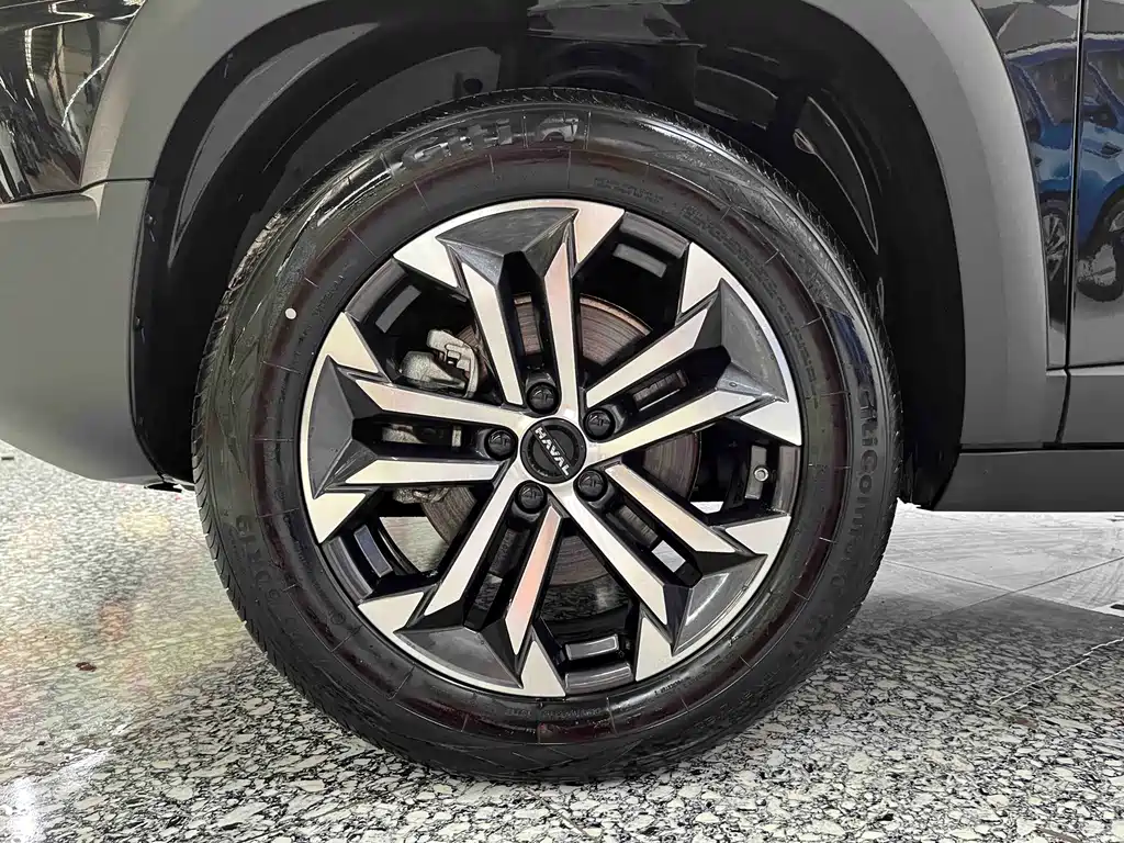 Haval 长城大狗 — миниатюра 15