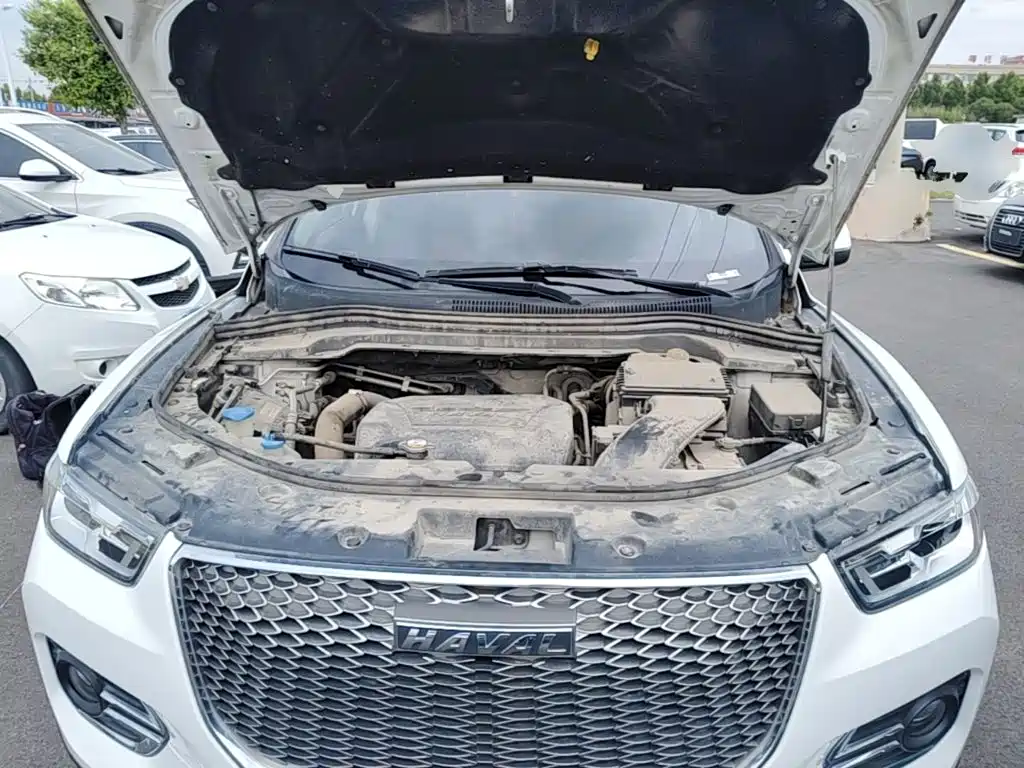 Haval H2s — миниатюра 20