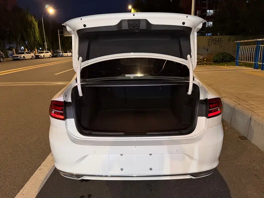 Volkswagen Lamando — миниатюра 13
