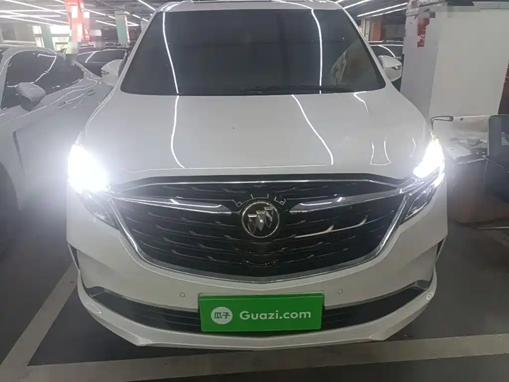 Buick GL8 — миниатюра 3