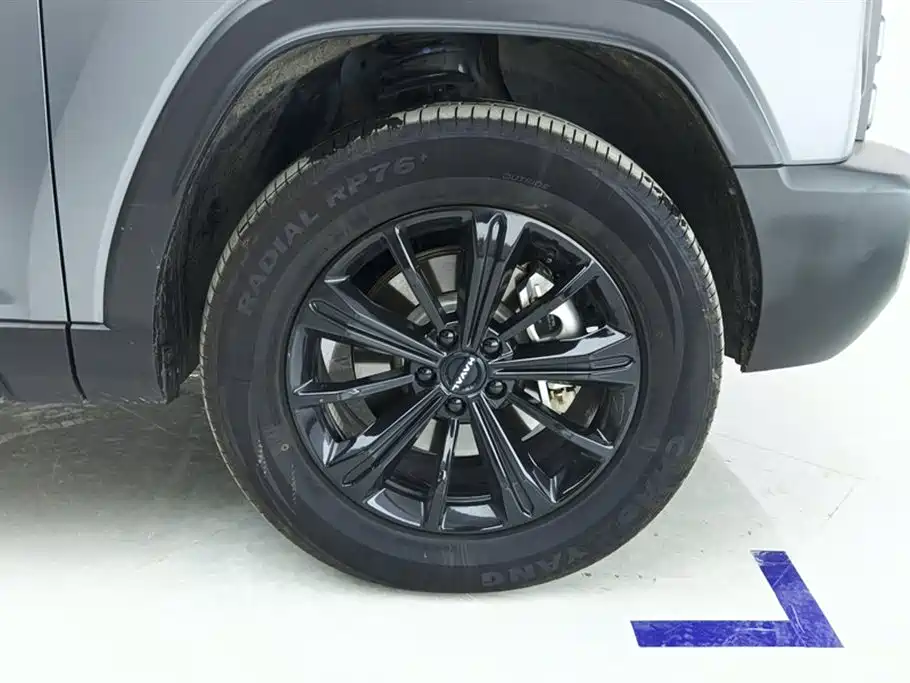 HAVAL RAPTORS NEW ENERGY