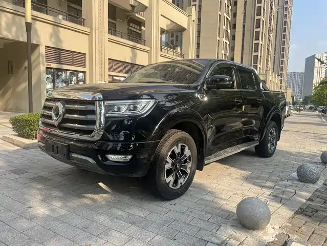 GREAT WALL CANNON 2023