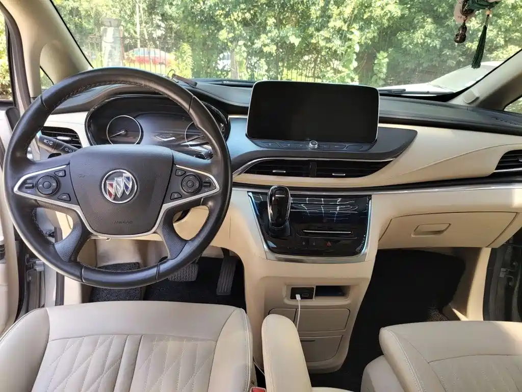 Buick GL8 — миниатюра 13