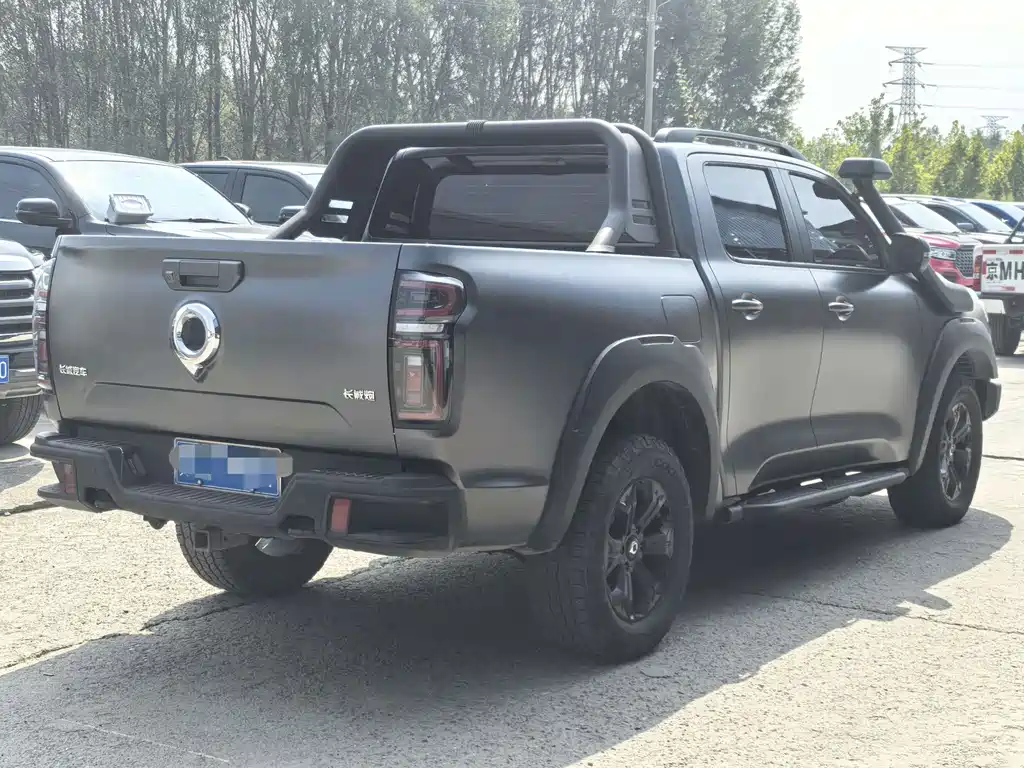 Great Wall Pao — миниатюра 5