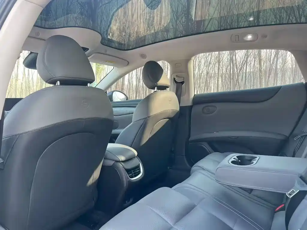 ZHIJI AUTOMOBILE ZHIJI L6