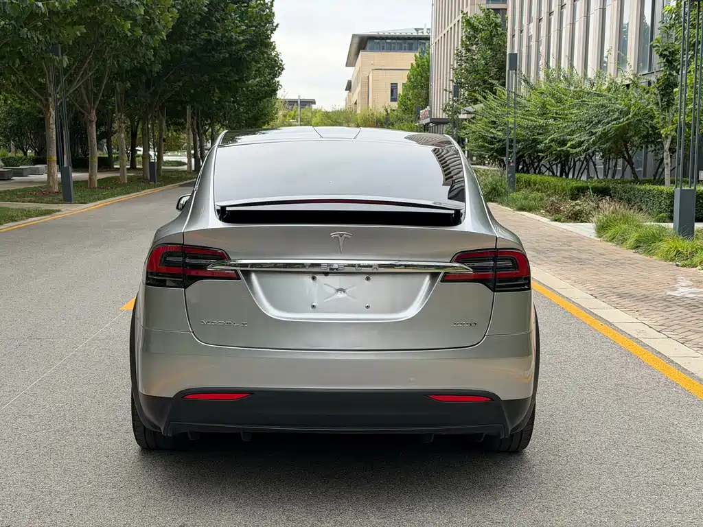 Tesla Model X — миниатюра 5