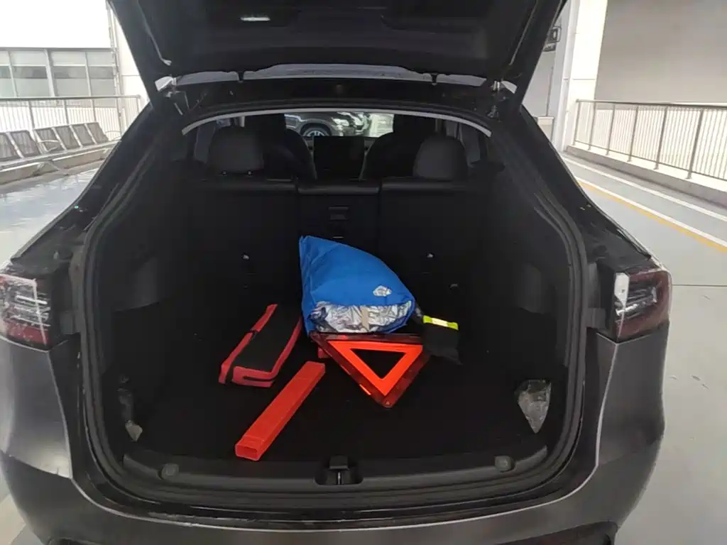 Tesla Model Y — миниатюра 19