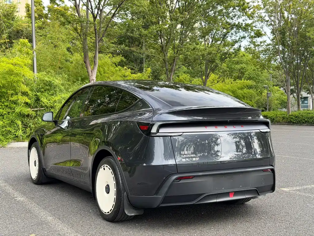 Tesla Model Y — фотографии объявления, Фото 19
