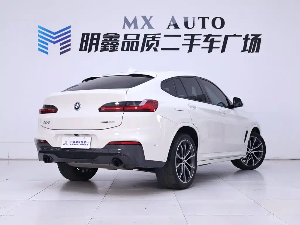 BMW X4 — миниатюра 7