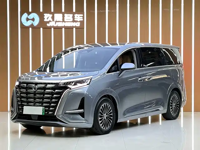 2023 Denza D9