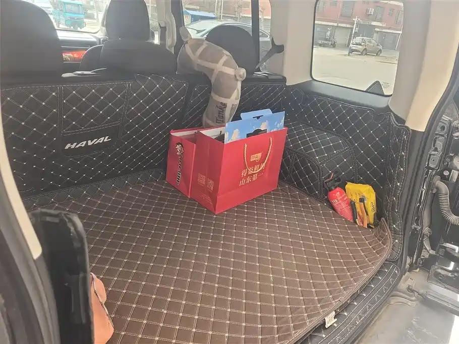 HAVAL RAPTORS NEW ENERGY