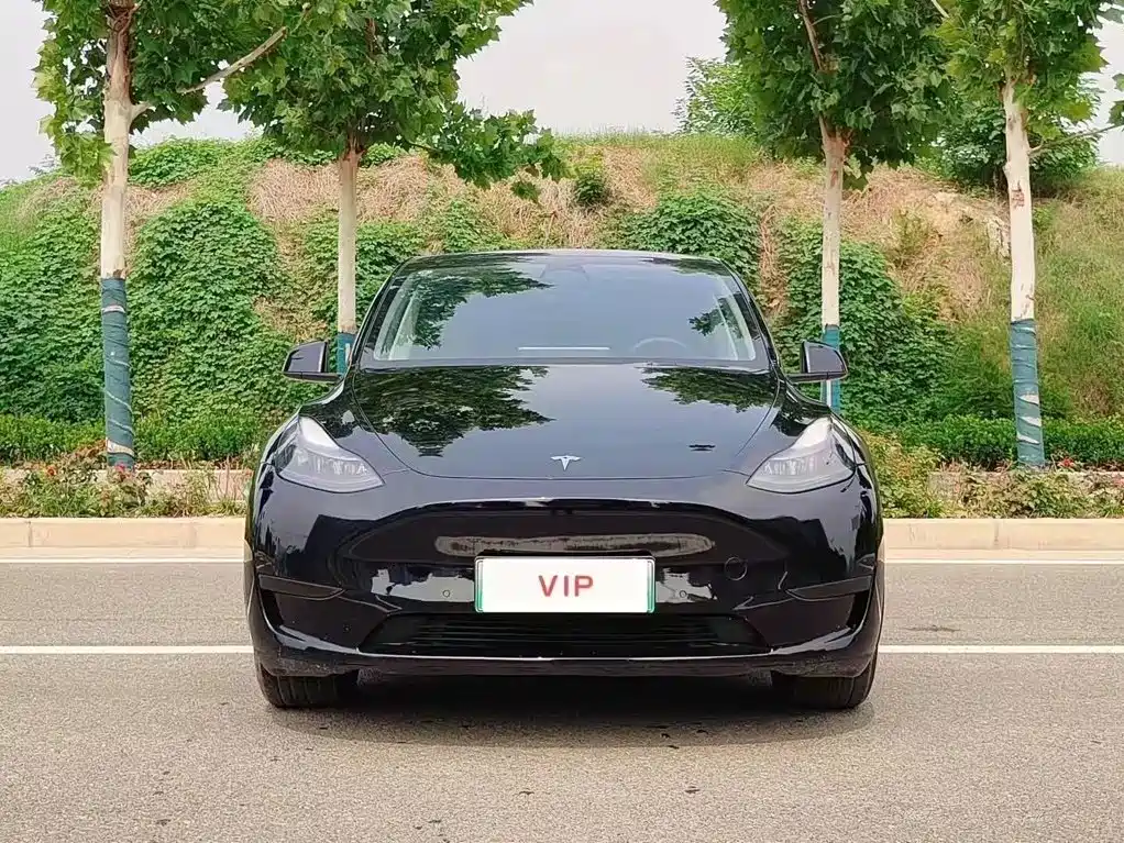Tesla Model Y — миниатюра 2