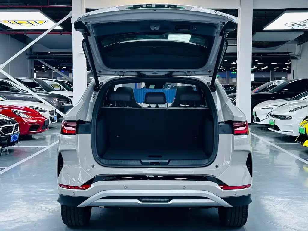 BYD SONGJIANG NEW ENERGY